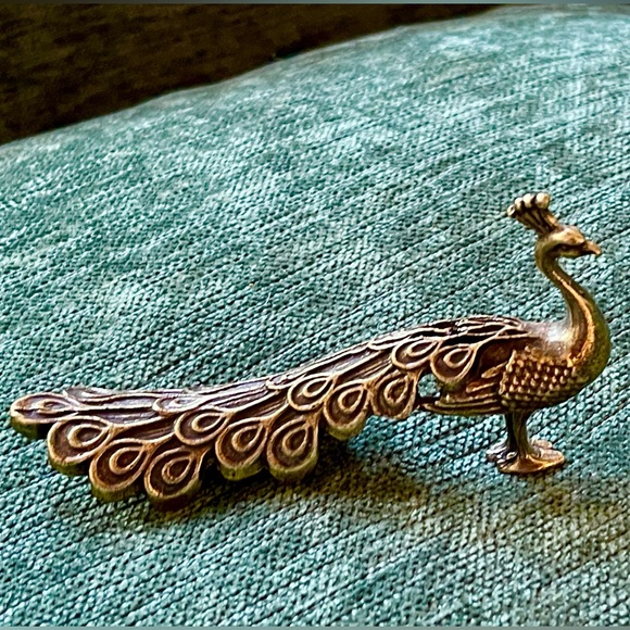 Peacock - Picture 6 of 6